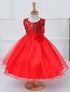 Mesh Paggy Dress